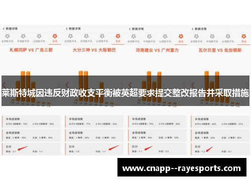 莱斯特城因违反财政收支平衡被英超要求提交整改报告并采取措施 莱斯特城因违反财政收支平衡被英超要求提交整改报告并采取措施