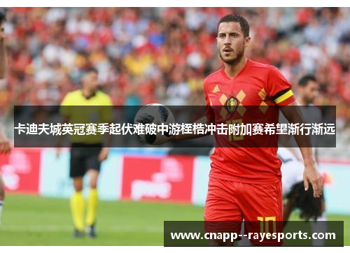 卡迪夫城英冠赛季起伏难破中游桎梏冲击附加赛希望渐行渐远